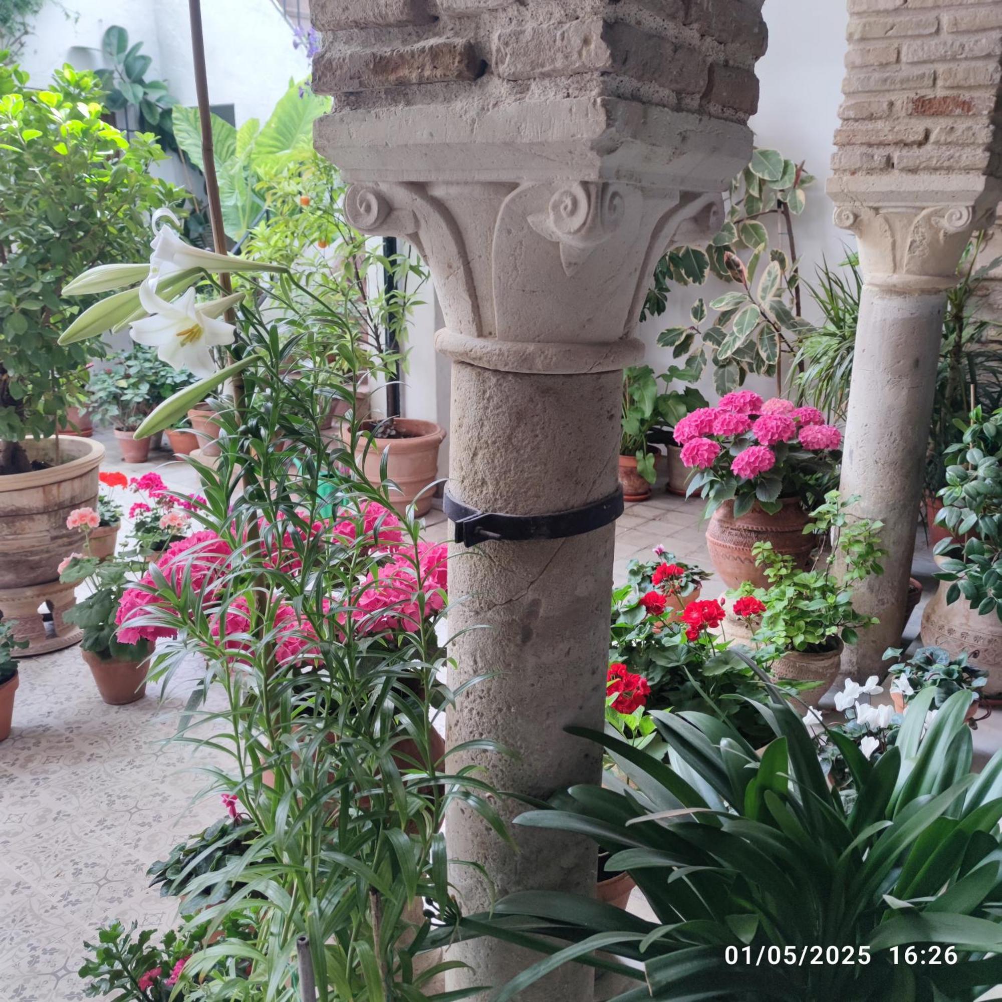 El Patio De Regina Apartment กอร์โดบา ภายนอก รูปภาพ