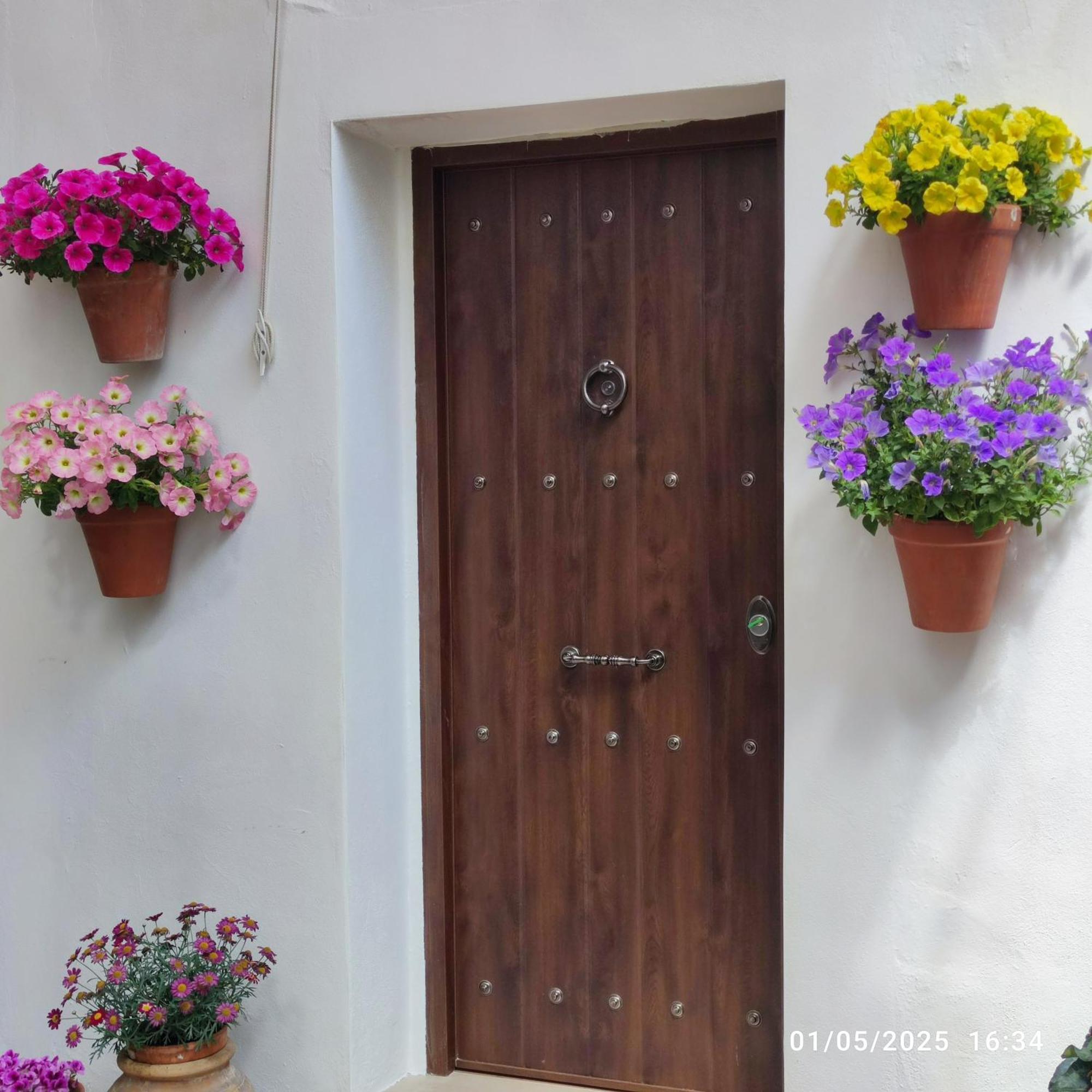 El Patio De Regina Apartment กอร์โดบา ภายนอก รูปภาพ