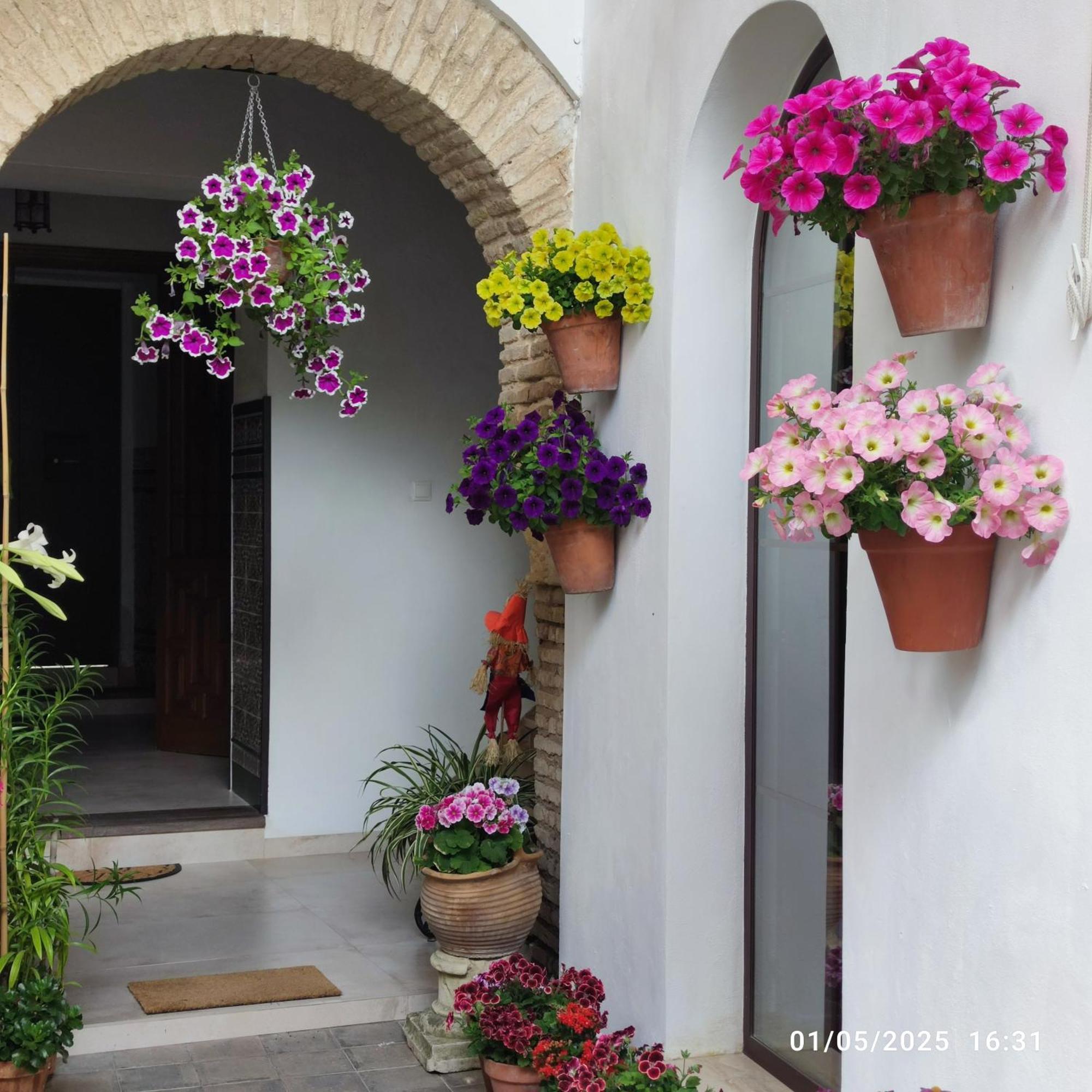 El Patio De Regina Apartment กอร์โดบา ภายนอก รูปภาพ