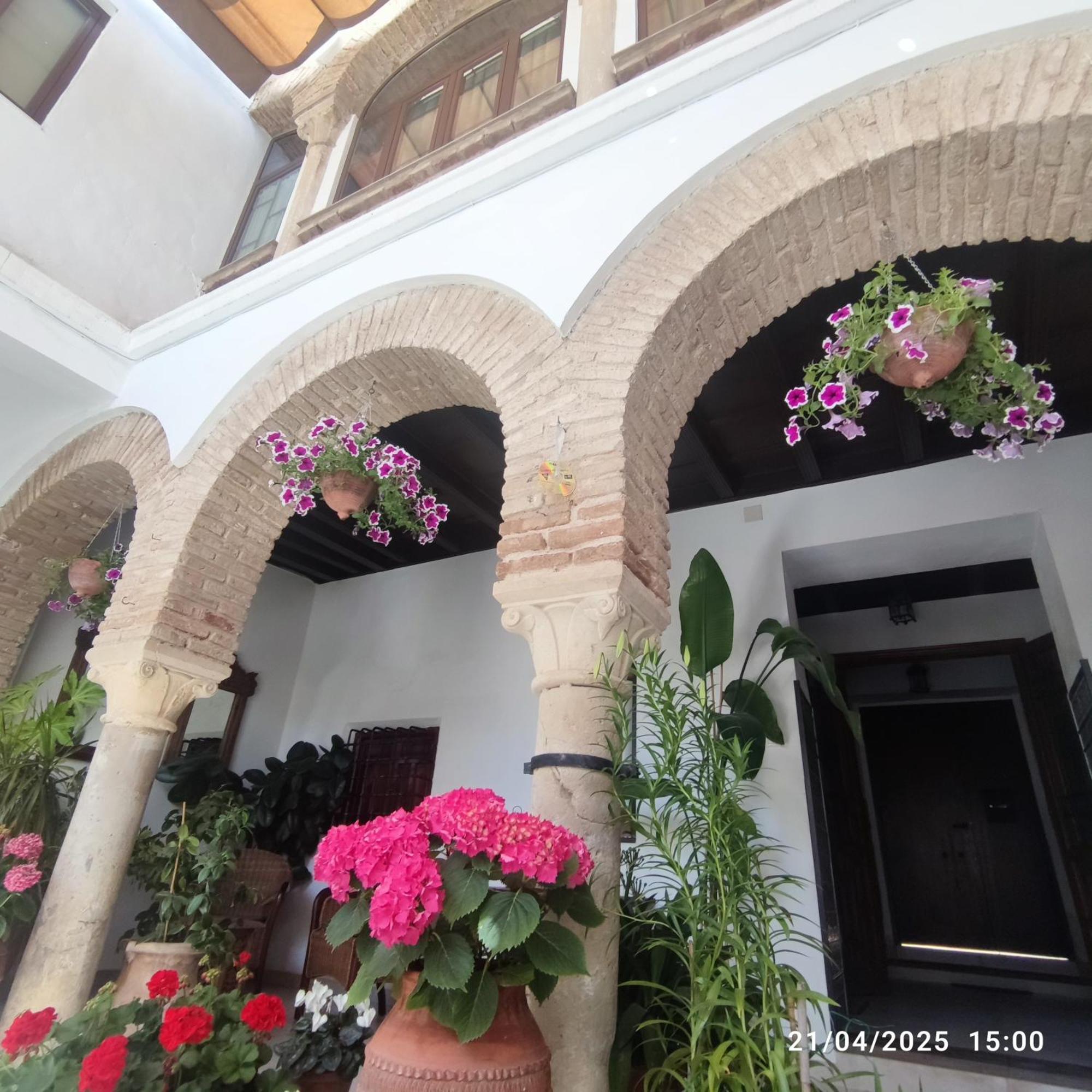 El Patio De Regina Apartment กอร์โดบา ภายนอก รูปภาพ